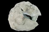 Chalcedony Filled Keokuk Geode with Calcite Crystals - Illinois #144748-1